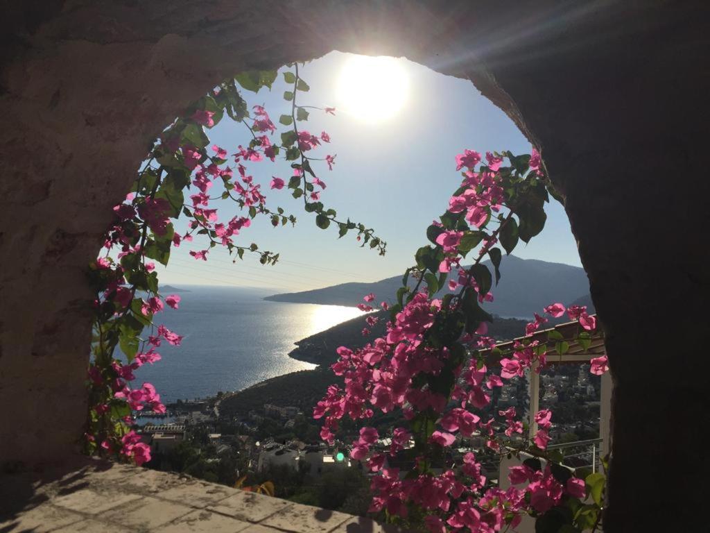 Villa Valo Kalkan Exterior photo